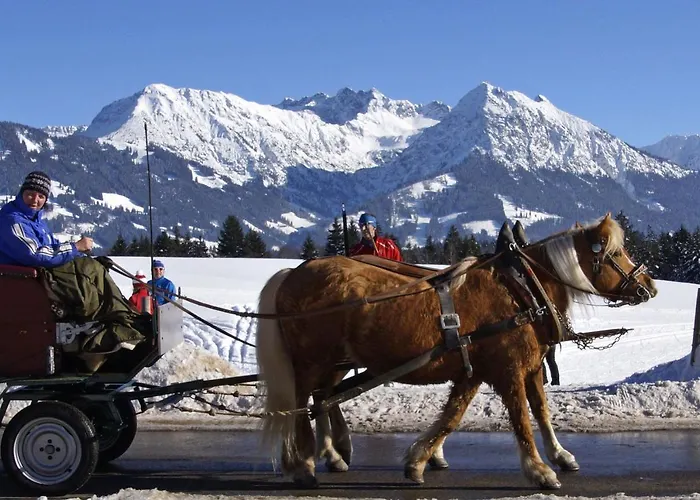 Haflinger Hof * Obermaiselstein