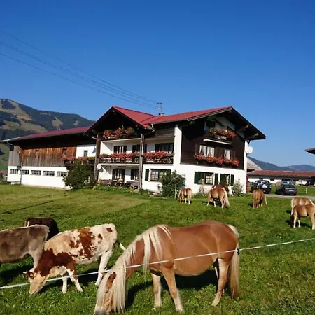 Apartment Haflinger Hof Obermaiselstein